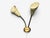 1950s Swedish Modern, Adjustable Wall Light, Brass, Lacquered Metal, Sweden For Sale - Image 11 of 13