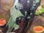 1970s 1970s Oil Painting Mushroom Glade Moses Faybovich Gantman For Sale - Image 5 of 10