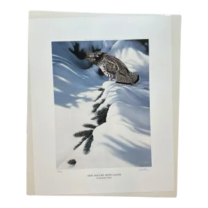 Signed Numbered Ron Van Gilder Limited Edition Color Lithograph Print Silent Shadows Ruffed Grouse