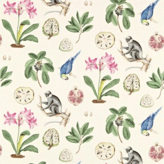 Sanderson Capuchins Fabric in Chintz For Sale