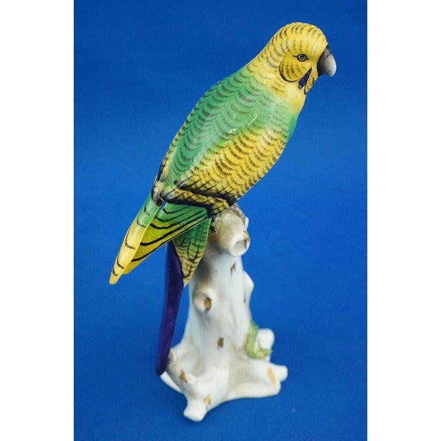 Porcelain Sculpture of Parrot Figurine by Real Casa Ferdinandea or Ginori Doccia, Italy, 1700s-1800s For Sale - Image 9 of 18