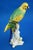 Porcelain Sculpture of Parrot Figurine by Real Casa Ferdinandea or Ginori Doccia, Italy, 1700s-1800s For Sale - Image 9 of 18