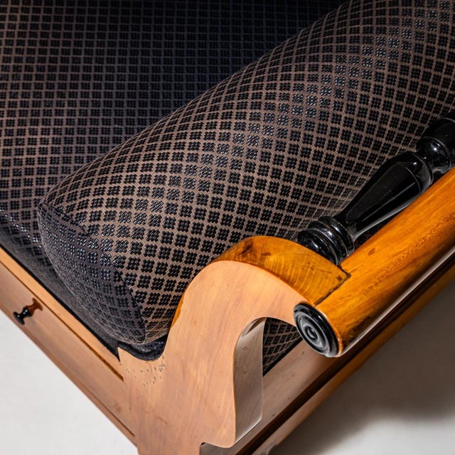 Black Antique Biedermeier Sofa, 1830 For Sale - Image 8 of 9
