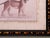 John-Richard Framed Nature Prints of a Lioness & Margay Pair Faux Tortoiseshell Wood 16x12.5 For Sale In Philadelphia - Image 6 of 18