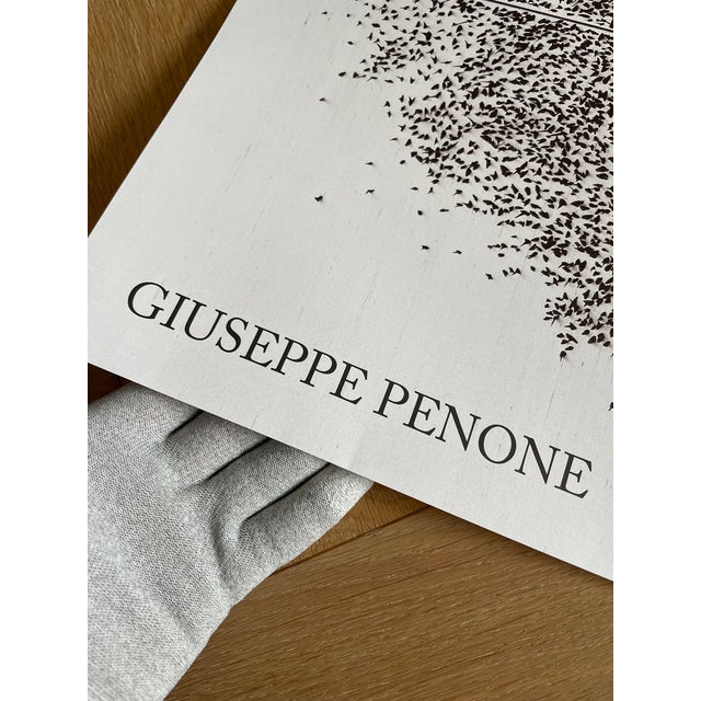 Abstract Giuseppe Penone, Contatto—occhio Destro Di R. . . (2009), Orginal Exibition Poster, Printed in the Uk For Sale - Image 3 of 11
