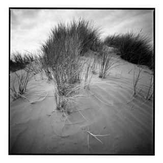 Paul Cooklin, Sand Dune IV, North Devon, Edition of 50 For Sale