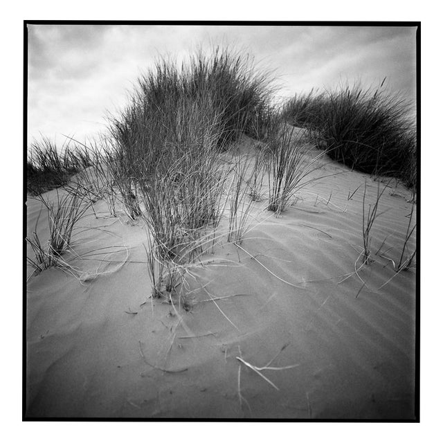 Paul Cooklin, Sand Dune IV, North Devon, Edition of 50 For Sale