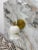 Brass Alabaster Flower Wall Sconces, Brass Ruffle Alabaster Flower Shade, Wall Sconce Marble Wall Light Pair of 2 For Sale - Image 10 of 11