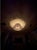 Stunning authentic RH / Restoration Hardware Crystal Halo Smoke Round LED Chandelier in the Smoke finish. This statement...