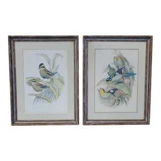 Pair of Antique John Gould & h.c. Richter Hand-Colored Bird Lithographs 19th C, Framed For Sale