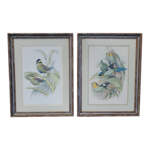 Pair of Antique John Gould & h.c. Richter Hand-Colored Bird Lithographs 19th C, Framed