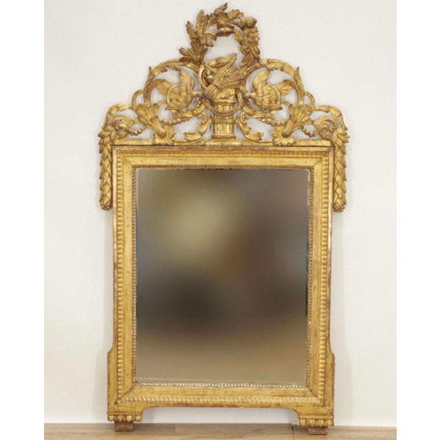 Antique 18th Century French Louis XVI Carved Giltwood Mirror With Birds, Wheat Sheaves & Floral Crest For Sale - Image 10 of 10