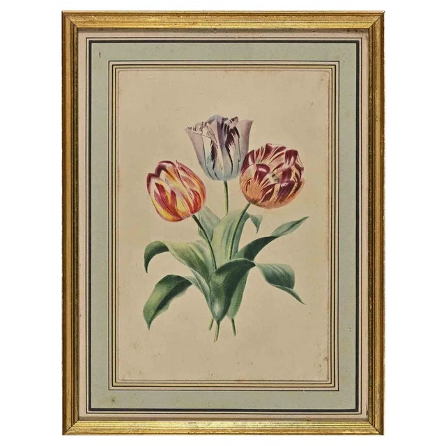 Edouard Maubert, Tulips, Etching, 19th Century For Sale