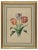 Edouard Maubert, Tulips, Etching, 19th Century For Sale