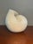 Italian 1970s Vintage Italian White Glazed Porcelain Nautilus Shell For Sale - Image 3 of 8