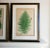 Set of Two 19th Century English Victorian Nature Printed Ferns in Custom Gilt Carved Wood Frames For Sale - Image 9 of 12
