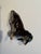 Vintage Dachshund by Keramos For Sale - Image 9 of 12
