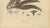Berthe Hoola van Nooten, Oyster Plant, 1880, Chromolithograph For Sale - Image 6 of 10