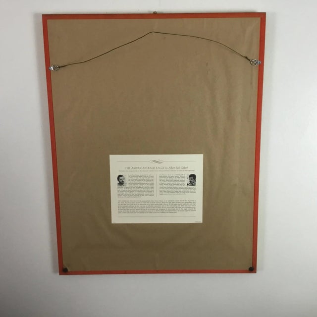 American Bald Eagle by Albert Earl Gilbert For Sale - Image 6 of 8