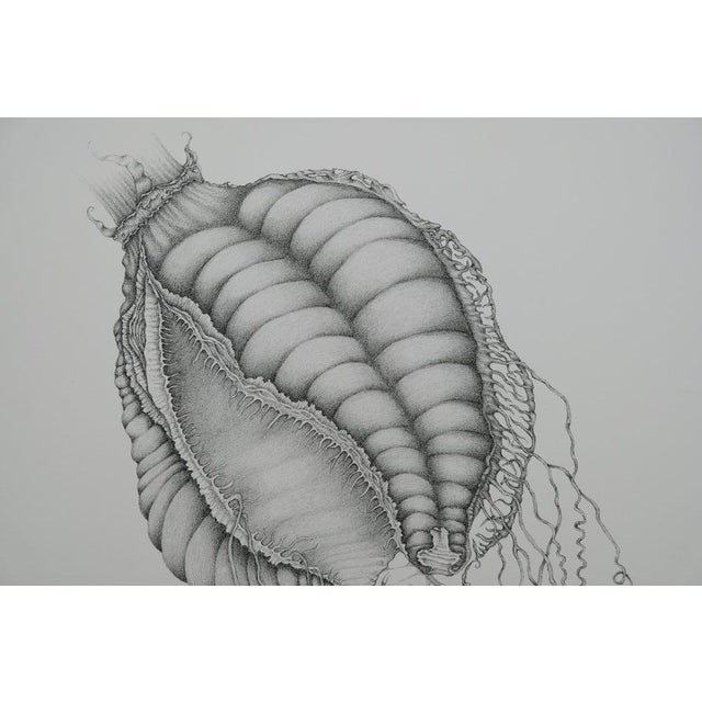 Contemporary Gochka Charewicz, Nepenthes Sins Iridum, Lithograph For Sale - Image 3 of 8