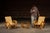 Italian-designed bentwood furniture set. This set was designed after preeminent Italian architect and designer Franco...