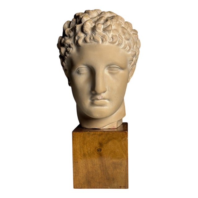 Greek Head Statue in Plaster For Sale