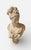 Mid 19th Century Plaster Bust of a Young Lady by A. Carrier Belleuse For Sale - Image 6 of 15
