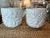 Pair Italian Ceramic Shell Seashell Flower Pots Planters Rosenthal Netter For Sale - Image 13 of 13