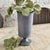 Wood Terrazza Vase Small For Sale - Image 7 of 8
