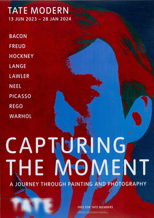 Capturing the Moment Poster after Andy Warhol