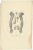 Anatomy Illustrations of Ligaments and Joints, 1839, Prints, Set of 13 For Sale - Image 9 of 15