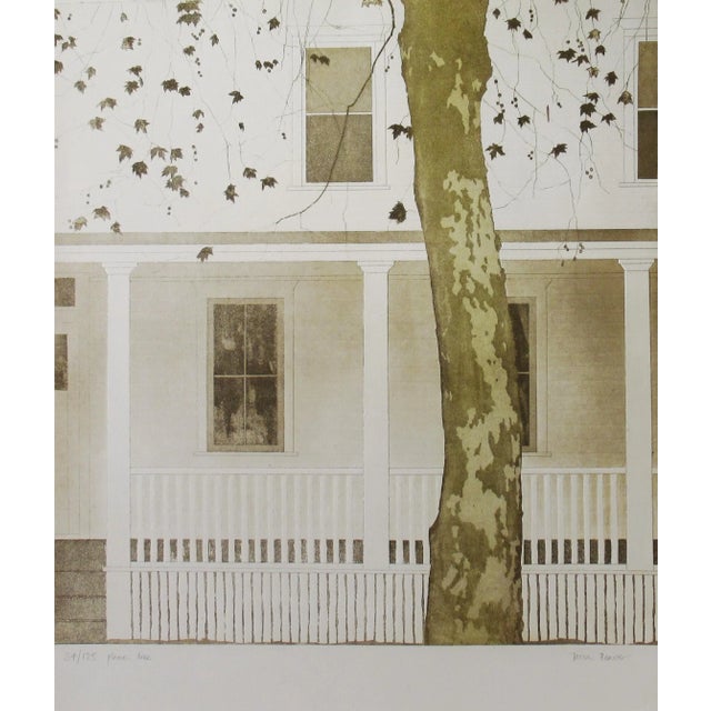 Tessa Beaver, Plane Tree, Circa 1980 For Sale - Image 10 of 10