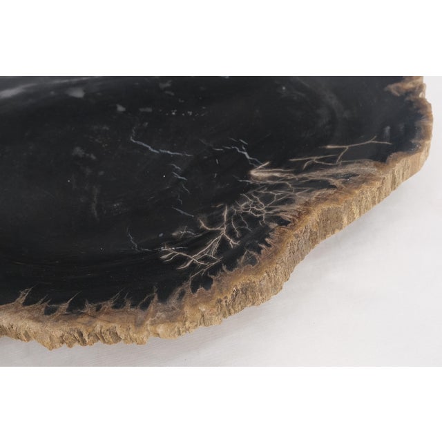 Early 21st Century Petrified Wood Heart Shape Solid Black Elongated Bowl Dish Large Plate Ashtray For Sale - Image 5 of 8