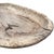 Beige Rather Large 19th Century American Southwest Batea Washbasin For Sale - Image 8 of 15