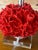 Coastal Pair of Red Faux Coral Table Lamps on Clear Acrylic Bases For Sale - Image 3 of 12