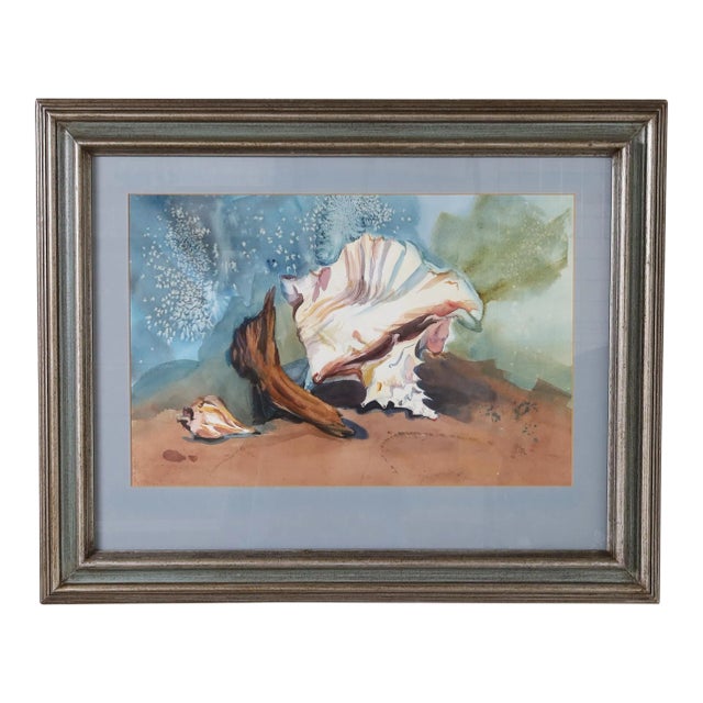 Still Life Watercolor of a Conch Shell For Sale