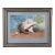 Still Life Watercolor of a Conch Shell For Sale