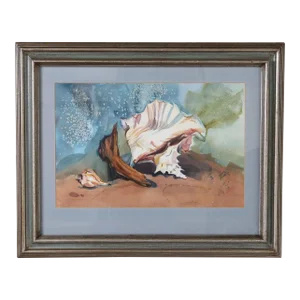 Still Life Watercolor of a Conch Shell