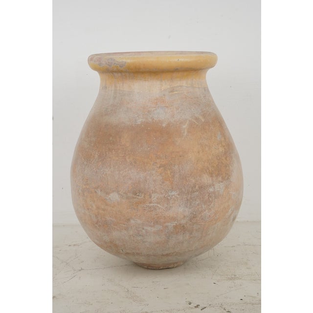 Terra Cotta 19th Century French Terra Cotta Biot Olive Jar 25 X 19.75 In. For Sale - Image 8 of 8
