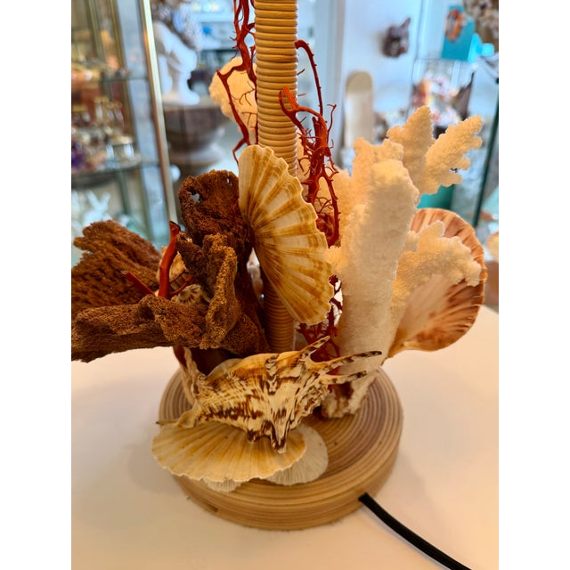 Christa's South Seashells CSS 24"h. Wicker Lamp With Lampshade For Sale - Image 4 of 7