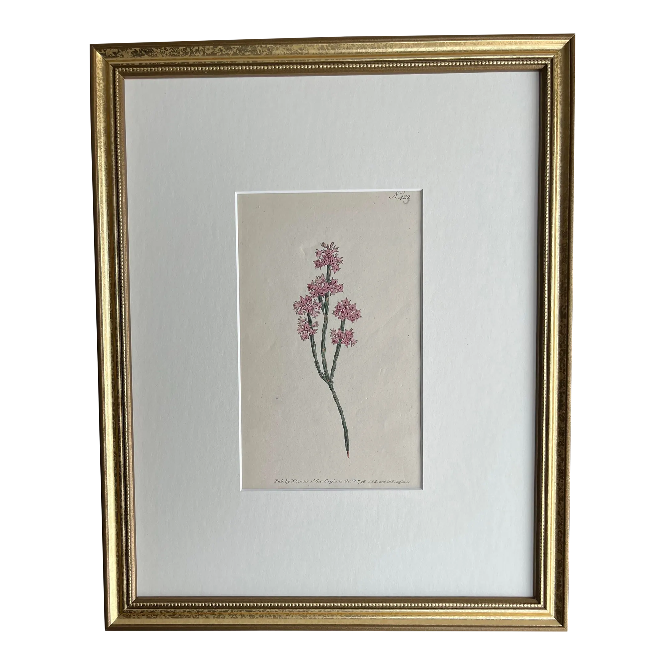 antique-original-hand-colored-