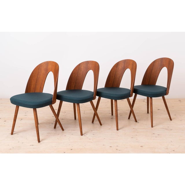 Mid-Century Modern Mid-Century Modern Dining Chairs by A. Šuman, 1960s, Set of 14 For Sale - Image 3 of 18