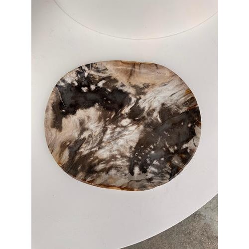 Wood Very Large Vide-Poche or Dish in Petrified Wood For Sale - Image 7 of 18