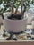 Hand Crafted Textile Treasures- Pair of 1990 Geckos For Sale - Image 16 of 18