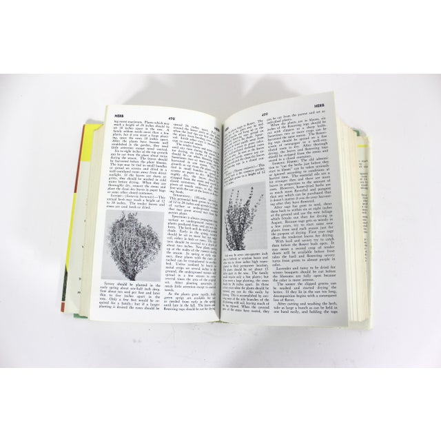 1970s 1977 Encyclopedia of Organic Gardening, Rodale Vintage Hard Cover Book Gift for Gardener For Sale - Image 5 of 6