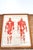 Vintage Double Sided School Posters in Frame of the Human Body, 1950s For Sale - Image 10 of 18