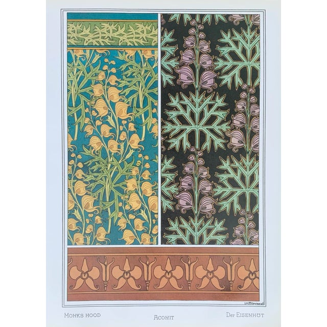 Late 20th Century Art Nouveau Wildflower Botanical Illustration Monkshood Wolfsbane Aconite For Sale - Image 5 of 5