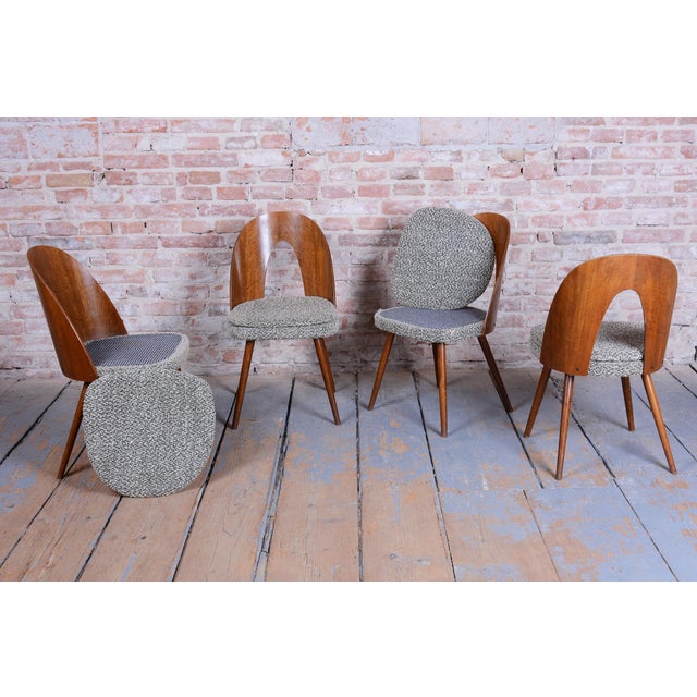 Mid-Century Modern Mid-Century Modern Chairs in Walnut by Antonín Šuman, 1950s, Set of 4 For Sale - Image 3 of 12