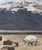 On an Overcast Day There Was Light Where the Sacred Laid by Sharon Pomales Tousey |Soft pastel on board depicting bison in a landscape with mountains. For Sale - Image 4 of 4