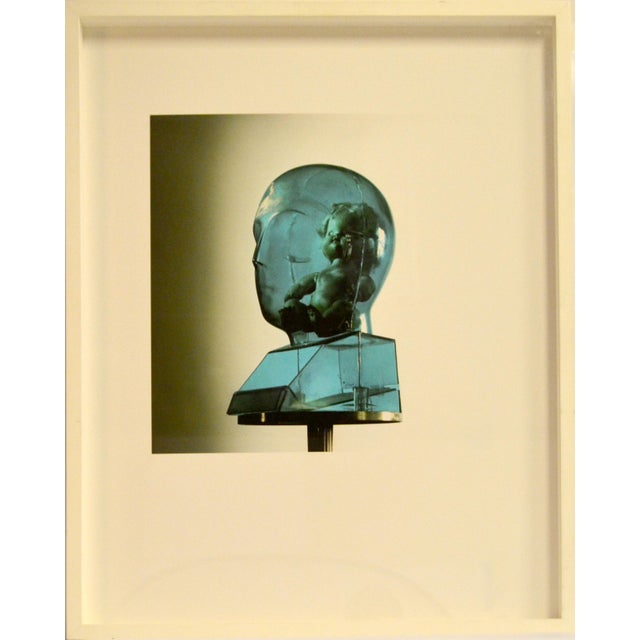 Antique White 2010 Blue Head Artwork Dudley Reed Fine Art Photography For Sale - Image 8 of 14